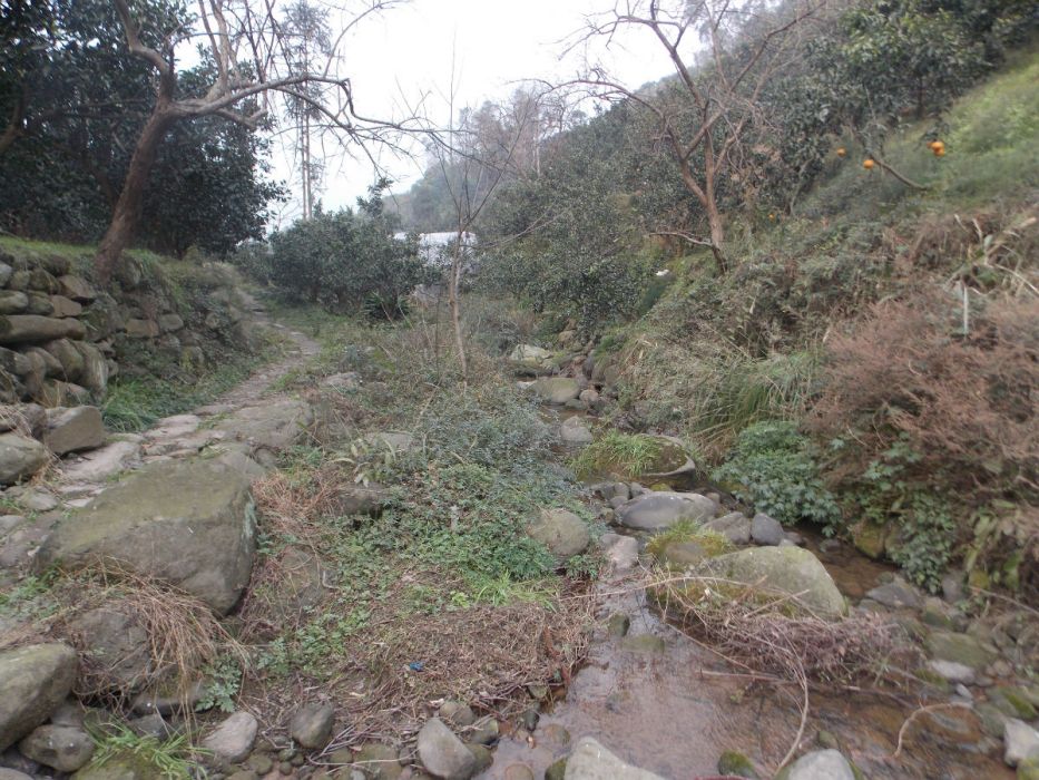 盐井沟洞穴堆积