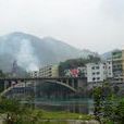 东河(重庆市开州区河流)