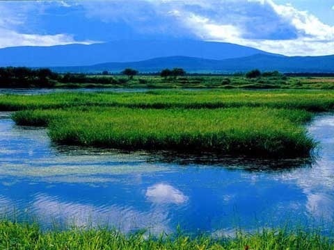 河南淅川丹江湿地国家级自然保护区 河南淅川丹江湿地国家级自然保护区