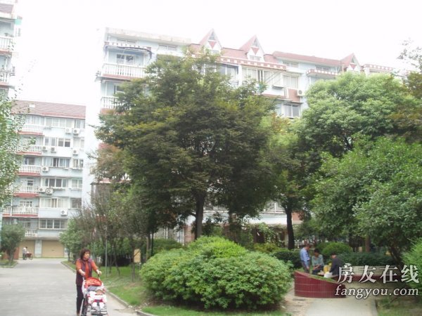 曹杨三村