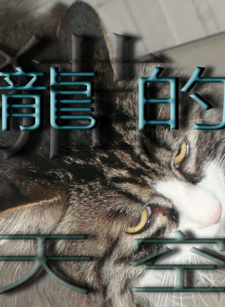 钟淑慧