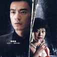 寻人启事(2009年范秀明执导电视剧)