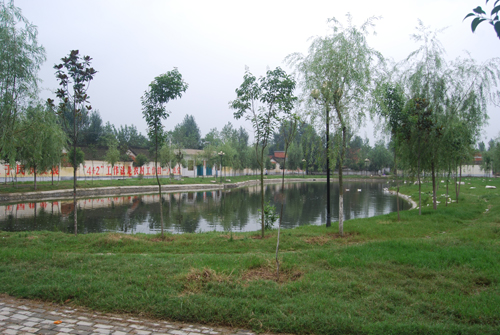 西许村(福建省莆田市城厢区华亭镇下辖村)