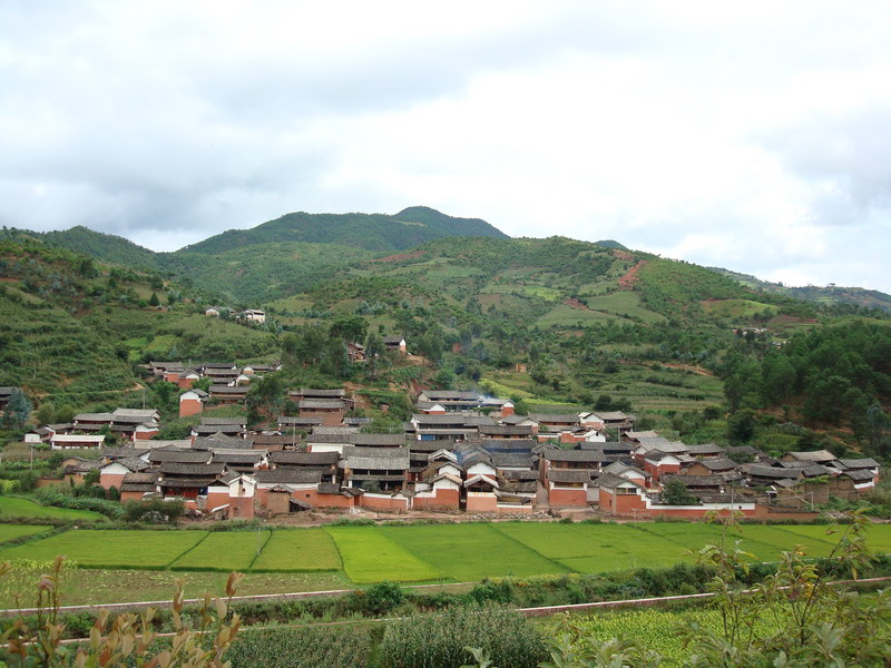 上村村(广东省梅州市梅县区梅南镇下辖村)