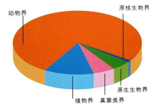 界(生物学分类)