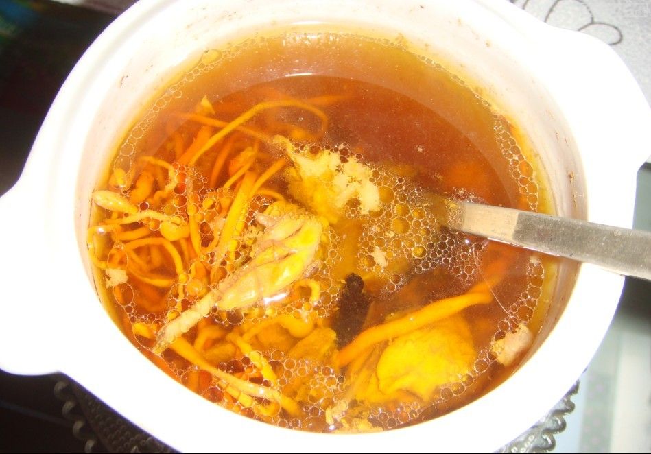 虫草洋参乳鸽汤