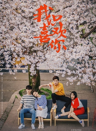 张可盈(可可（湖南卫视《夏日甜心》选手）)