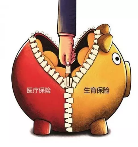 重庆生育保险 重庆生育保险