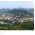 青山镇(陕西省商南县青山镇)