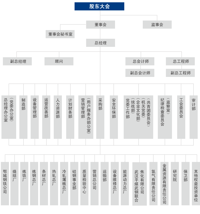 武汉钢铁股份有限公司 武汉钢铁股份有限公司
