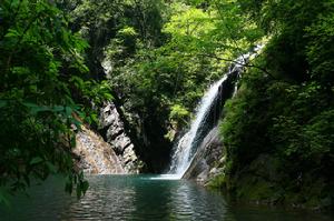 金丝大峡谷国家森林公园 金丝大峡谷国家森林公园