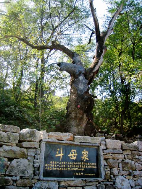 窦姑泉 窦姑泉