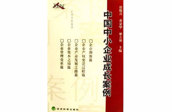 中国中小企业成长案例