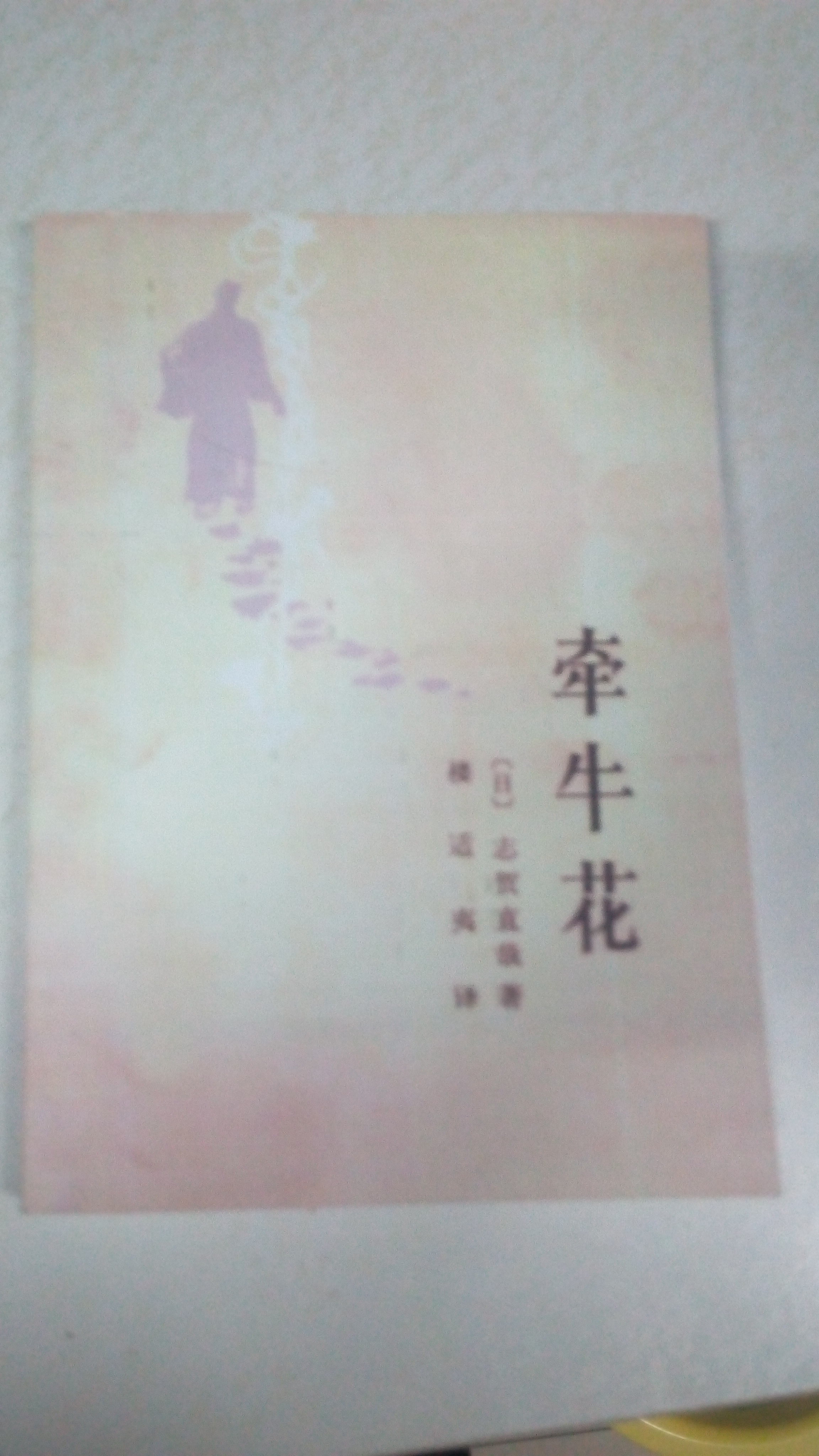 牵牛花(湖南人民出版社出版图书)