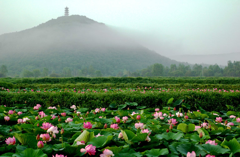 密山 密山