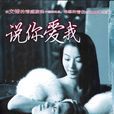 说你爱我(韩国2004年金圭芫执导电视剧)