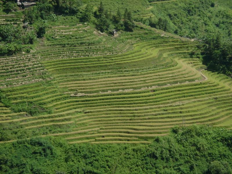 村中田园山野 村中田园山野