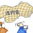违约责任