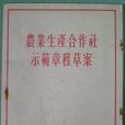 农业生产合作社