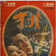 有情(1966年金洙容执导韩国电影)