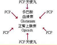 普斯普剂 普斯普剂