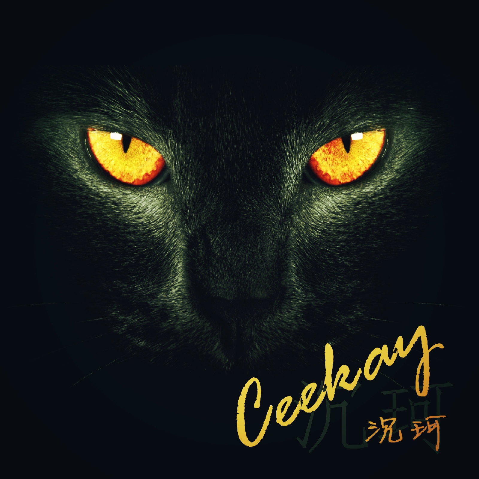 《沉珂Ceekay》 《沉珂Ceekay》