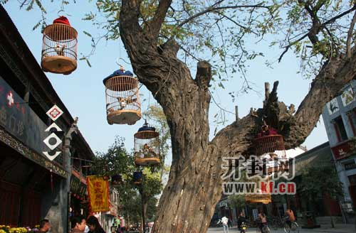 书店街街景 书店街街景