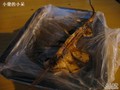 鱿鱼