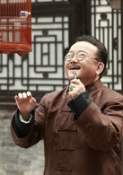 谁是真英雄(2013年小瀋阳主演电视剧)