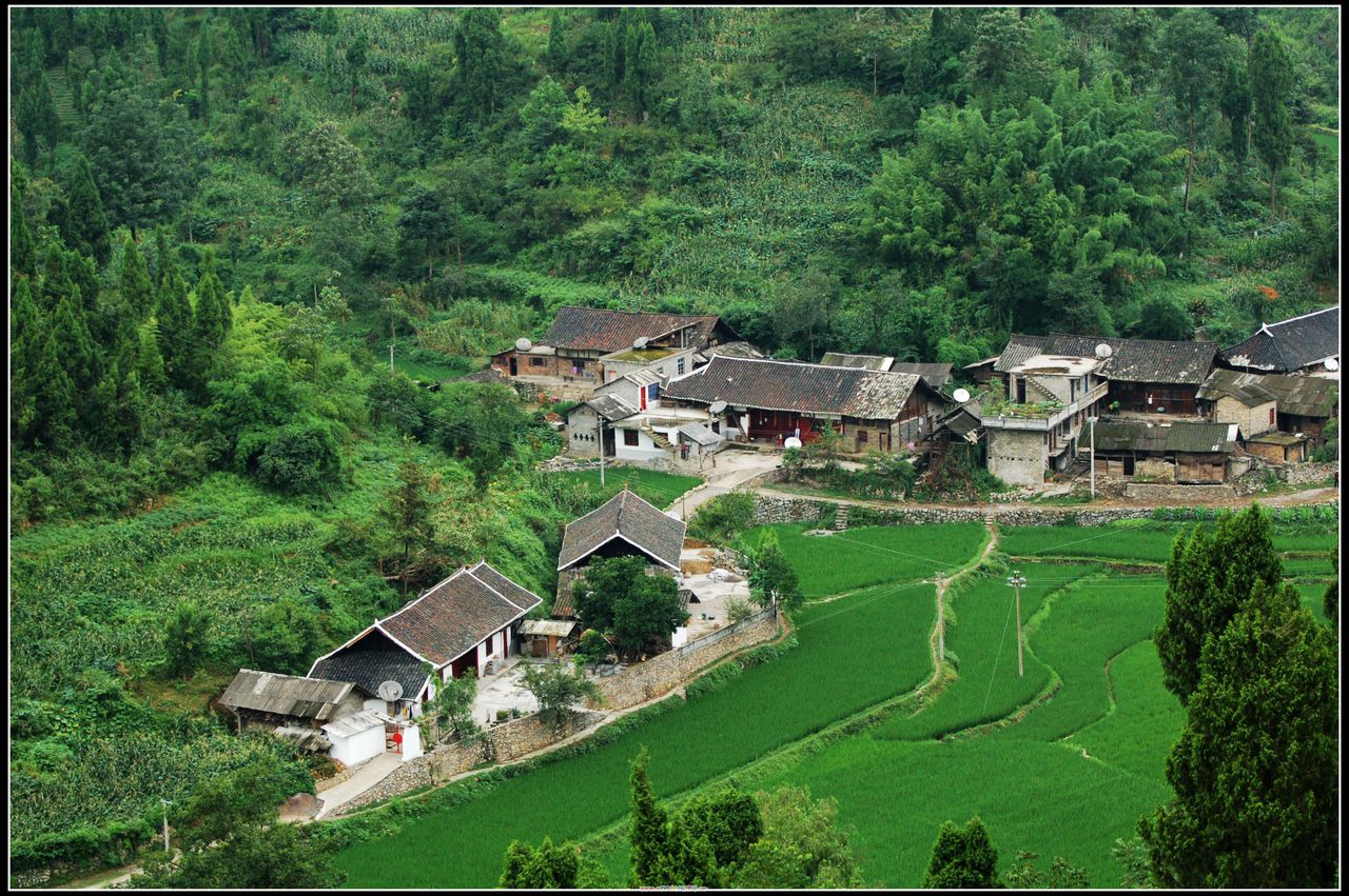 樊家沖村 樊家沖村