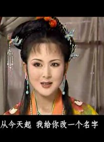 何佳怡
