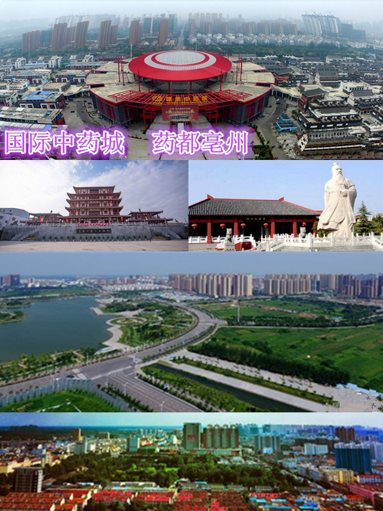 药都亳州 药都亳州