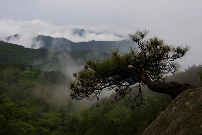 浠水三角山 浠水三角山