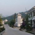 新铺村(湖北省黄冈市英山县孔家坊乡新铺村)
