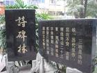三峡诗碑林 三峡诗碑林