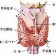 甲状腺功能亢进伴发精神障碍