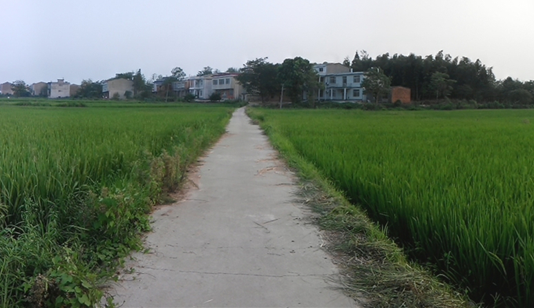 南畈村(湖北省黄冈市浠水县散花镇南畈村)