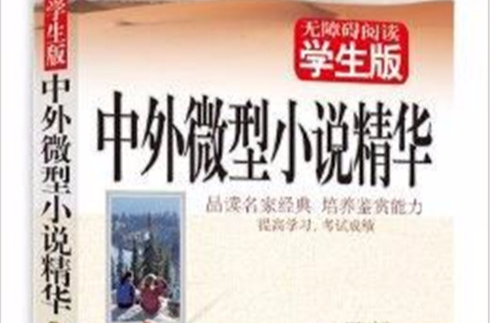 中外微型小说精华