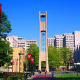 天普大学