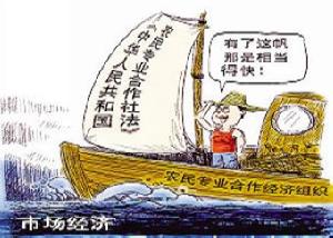 市场经济合作法 市场经济合作法