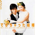 奉子成婚(2001年日本电视剧)