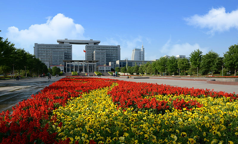 花团锦簇 花团锦簇