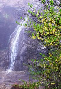 洪谷山 洪谷山