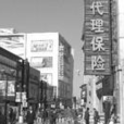 保险中介(从事保险业务机构)