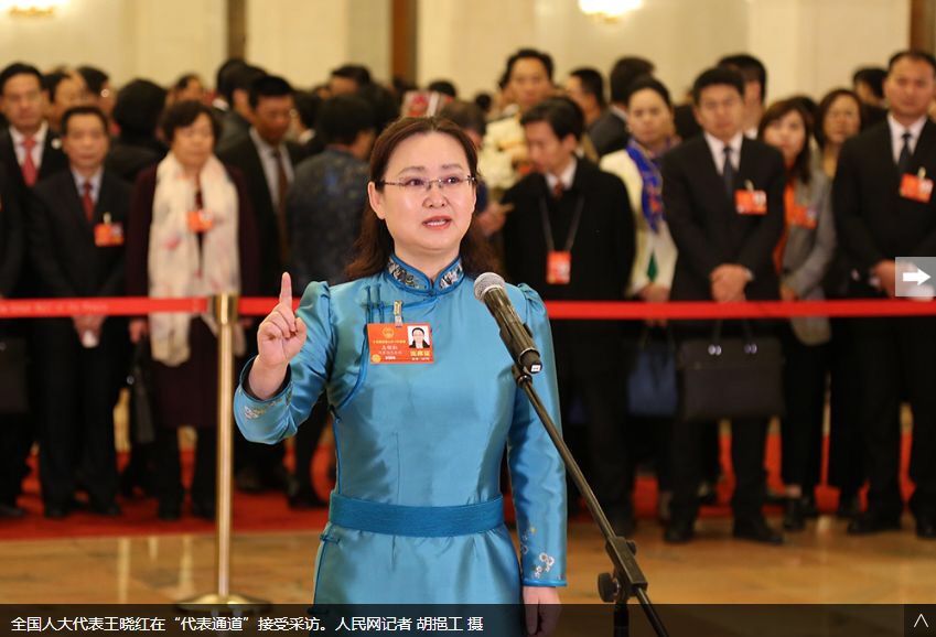 王晓红(第十三届全国人大代表)