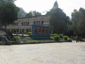 学校 学校