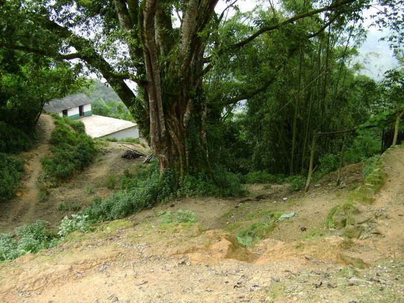 村中一角 村中一角