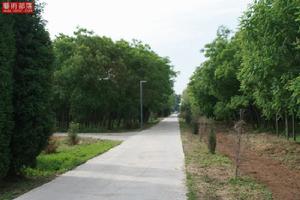 场馆风采 场馆风采