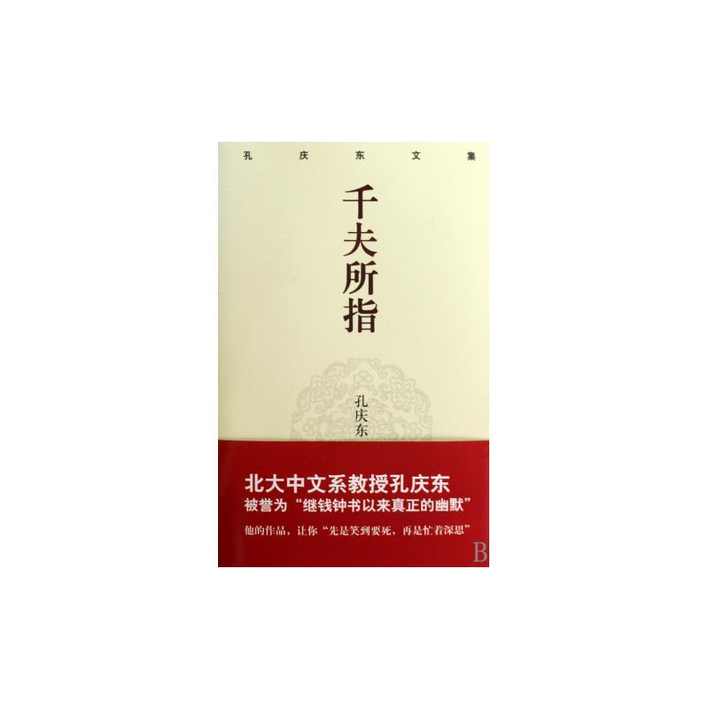孔庆东文集－千夫所指