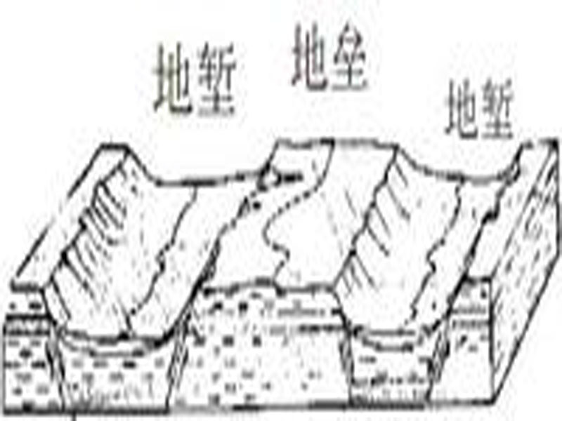 箕状构造 箕状构造